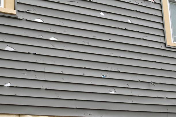 Best Fiber Cement Siding Installation  in North Pearsall, TX