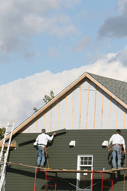 Best Custom Siding Design  in North Pearsall, TX